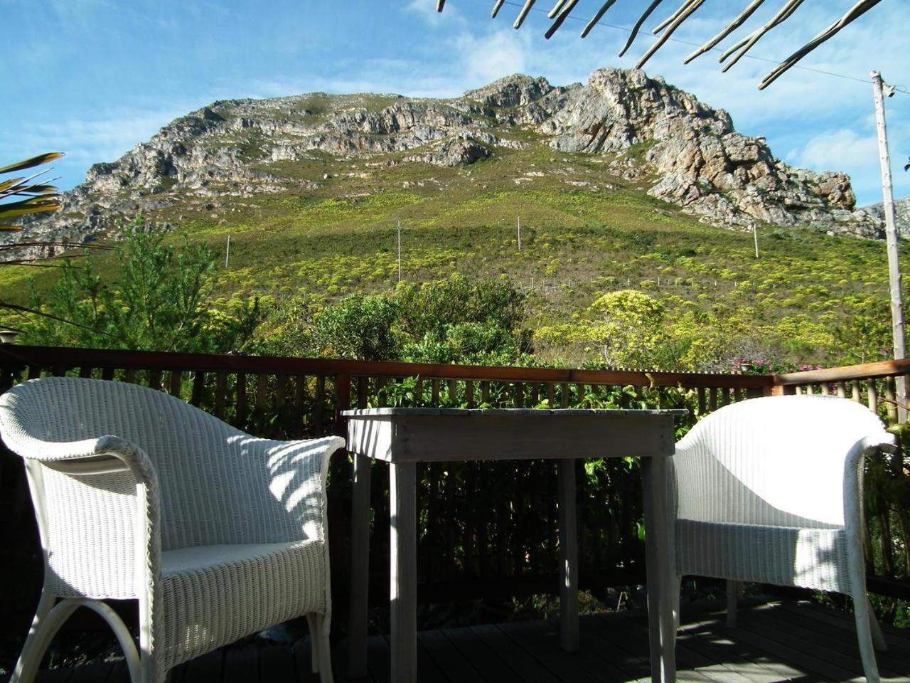 78On5Th In Hermanus Dış mekan fotoğraf